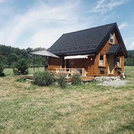 Na Kamiencu *