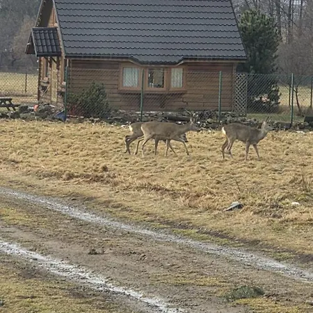 Na Kamiencu * Wilkowice (Bielsko)