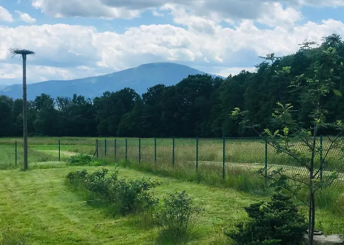 Na Kamiencu Wilkowice (Bielsko)