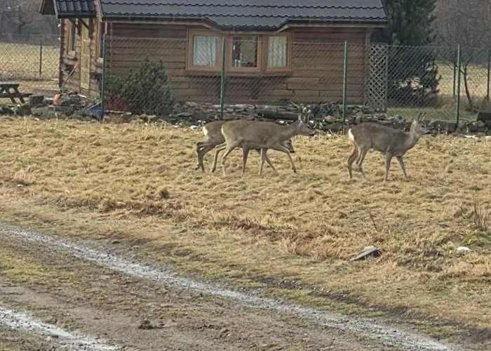 Na Kamiencu * Wilkowice (Bielsko)